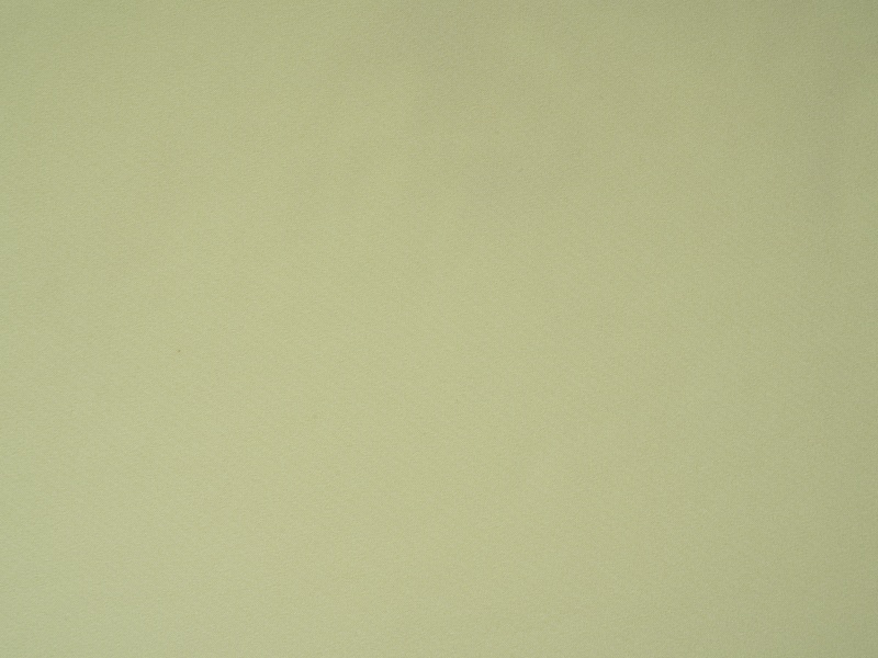 Polyester proten lining fabricae