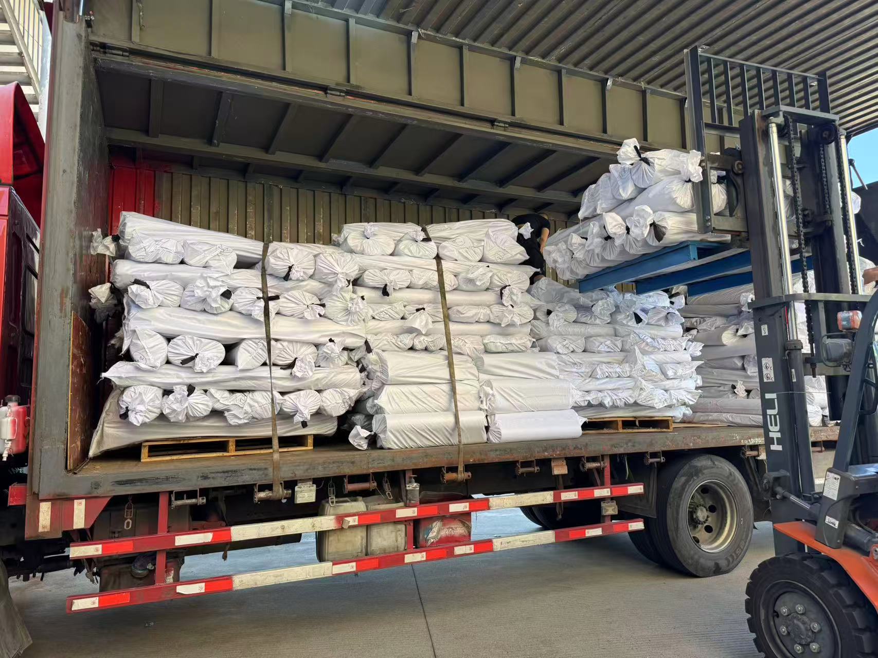 Apicem Season, Premium Linings: Shunli Rhoncus